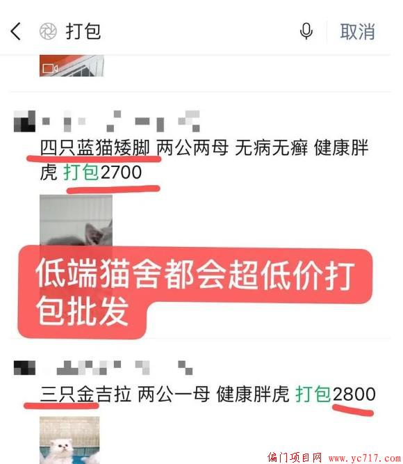 360截图20200811002512992.jpg