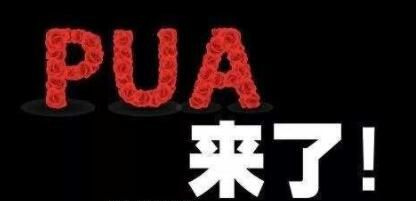 网赚项目：详解pua是什么、pua课程的那些事